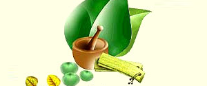  ayurveda