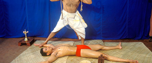  ayurveda