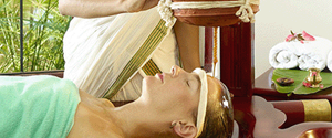  ayurveda