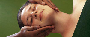  ayurveda