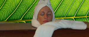  ayurveda